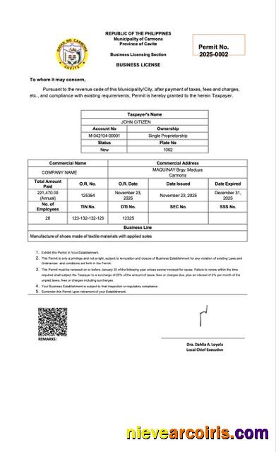 Philippines business license